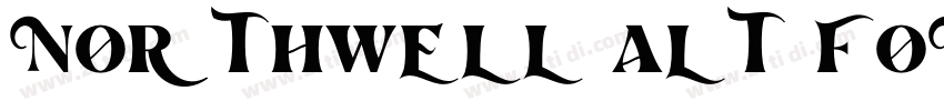 Northwell Alt Font字体转换 Northwell Alt Font字体转换